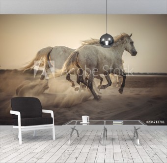 Picture of Camargue horses